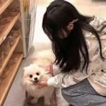 傲视沙城腾讯手游下载